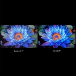 P073995_4_e12e1c3e_thumbnail_4096